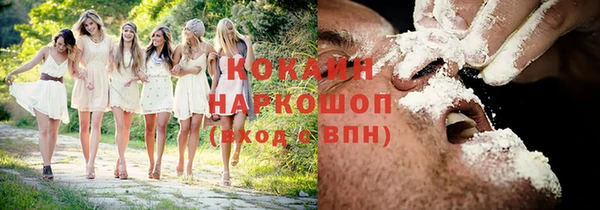 тгк Козельск