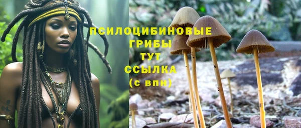 COCAINE Костерёво