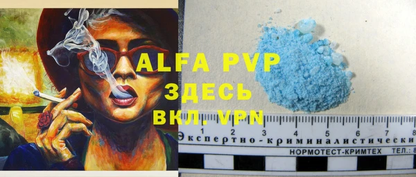 прущая мука Корсаков
