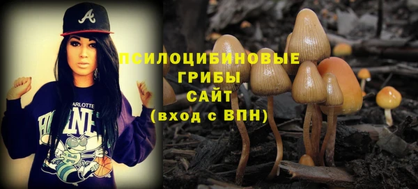 тгк Козельск