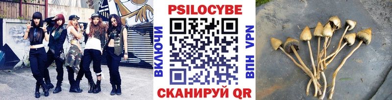 KRAKEN зеркало  Кириллов  Псилоцибиновые грибы ЛСД 